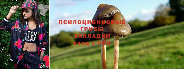 прущие крисы Краснотурьинск