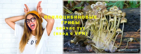 скорость mdpv Краснослободск